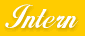 Intern